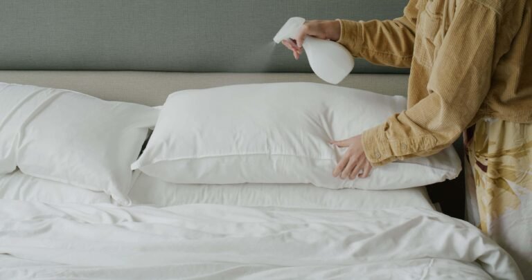 Deep Cleaning Bed